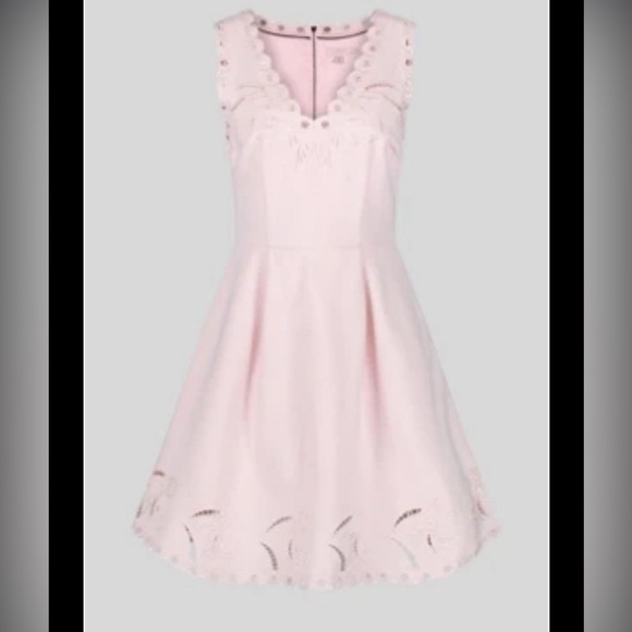 Ted Baker Emalise Pink V-neck Embroidered Skater Dress TB Size 2 - Picture 14 of 14